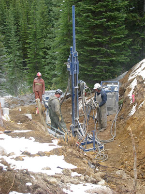 Hornet drilling in trench