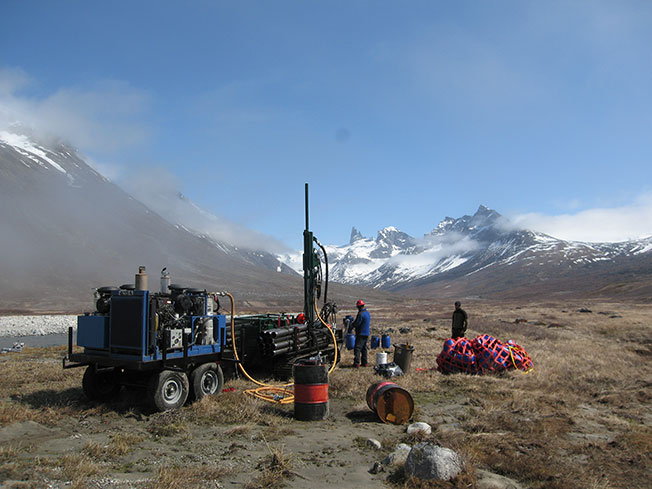 Super Grasshopper in Greenland